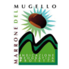 IGP Mugello Italy