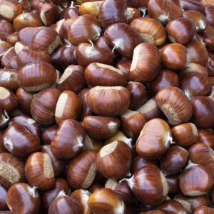 MARRONI FRESCHI